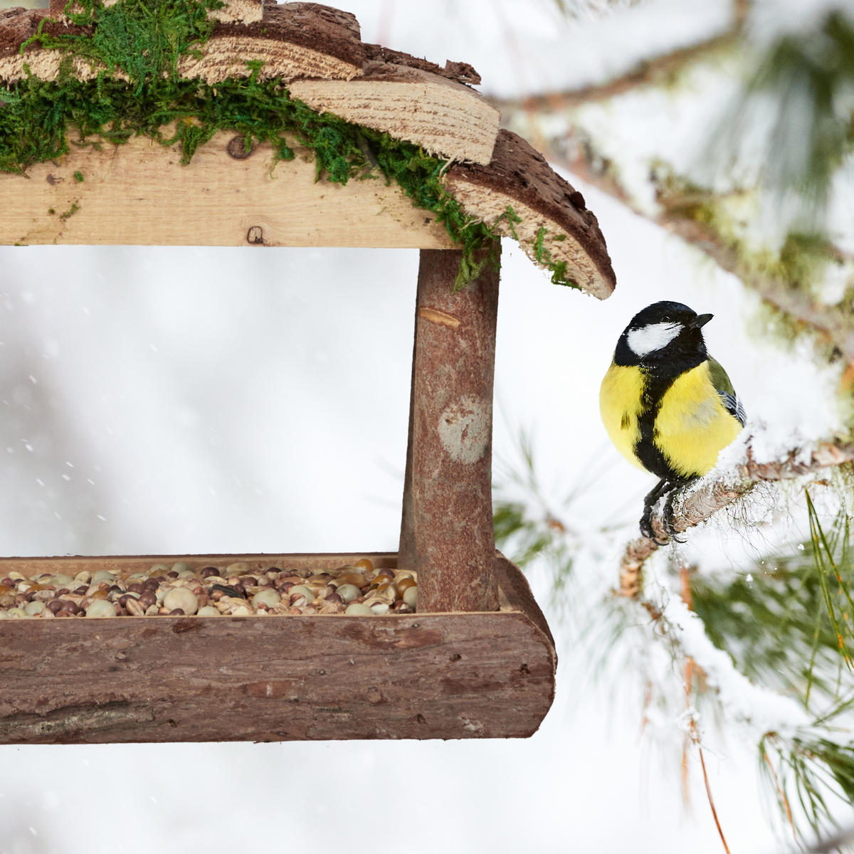 VOGELFUTTERHAUS - Braun, Naturmaterialien/Holz (22/19/16.5cm) - Relaxdays