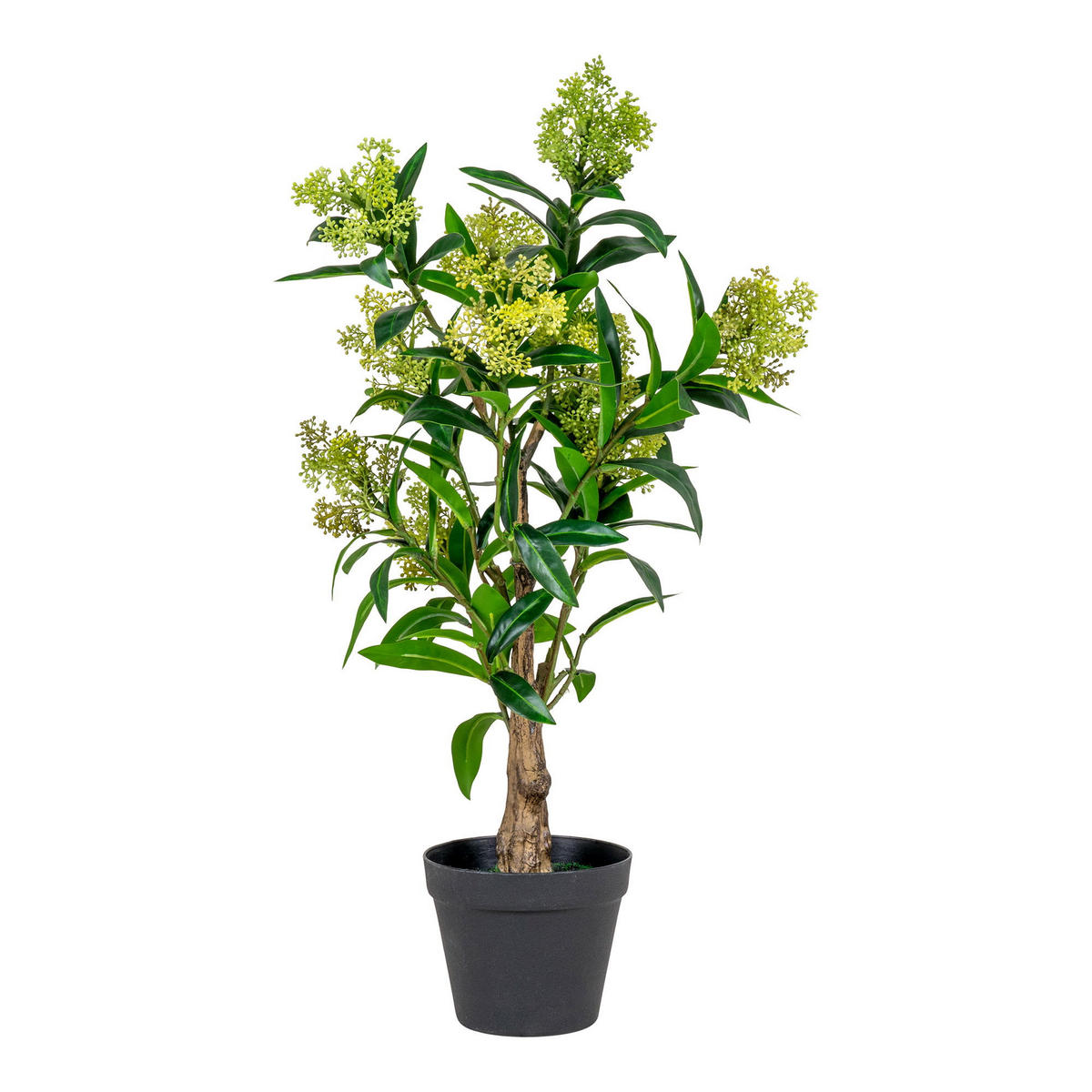 SKIMMIA-BAUM PE-Kunststoff Grün - Grün, Kunststoff (75cm) - tinkaro