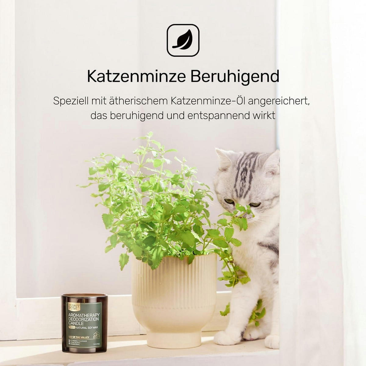 DUFTKERZE im Glas Lavendel Zeder 200g - Braun, Paraffin (9.7cm)