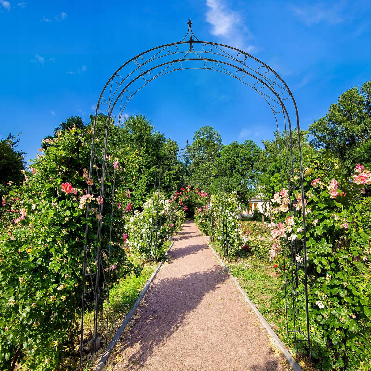 GARTENPERGOLA für Blumen 281 cm, schwarz - Schwarz, Metall (145/281cm) - KADAX