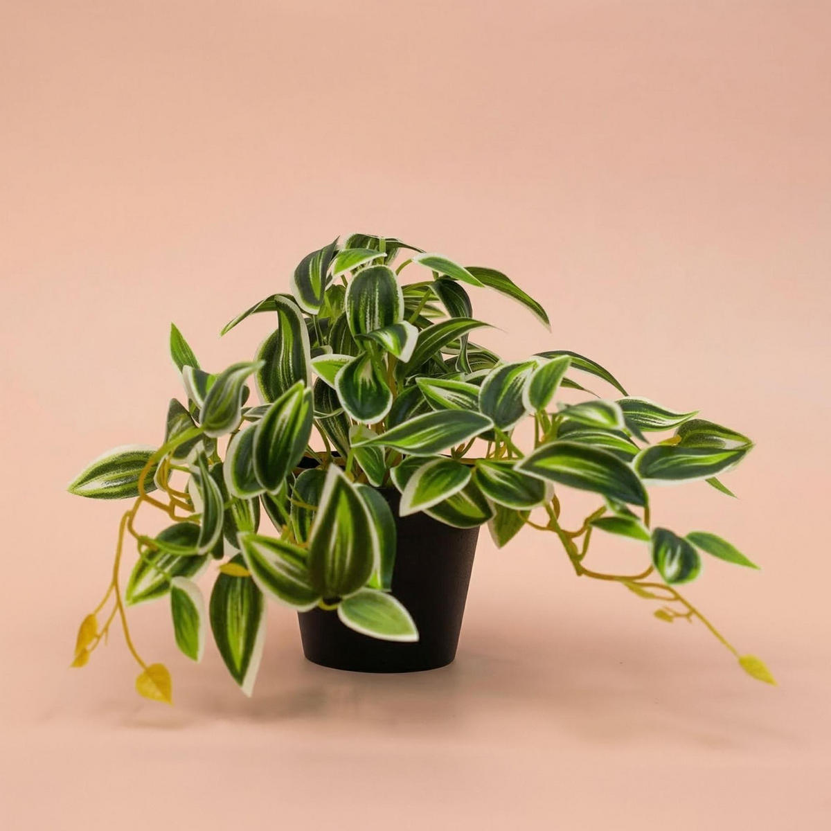 KUNSTPFLANZE Tradescantia Gruen-Weiss im Topf 19cm - Schwarz/Grün, Kunststoff (17cm) - Trendhero