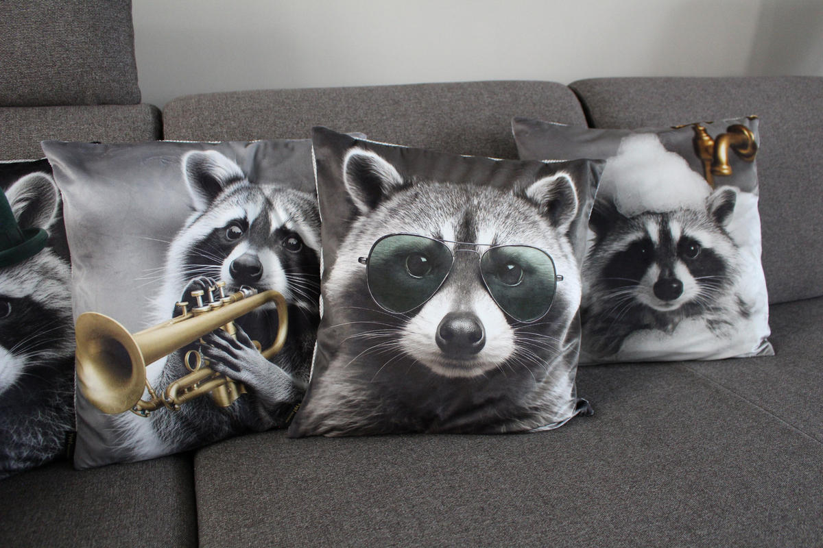 KISSENHÜLLE WASCHBÄR BILL Trompete - Hellgrau, Textil (45/45cm) - Yve! decoration