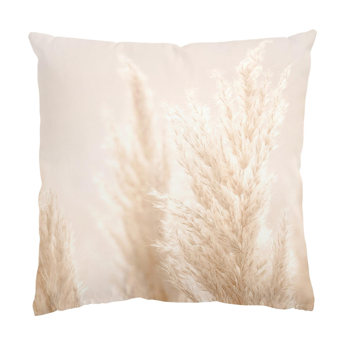 KISSENBEZUG Pampasgras im Sonnenlicht 40/40 cm - Eichefarben, Textil (40/40cm) - Bilderwelten