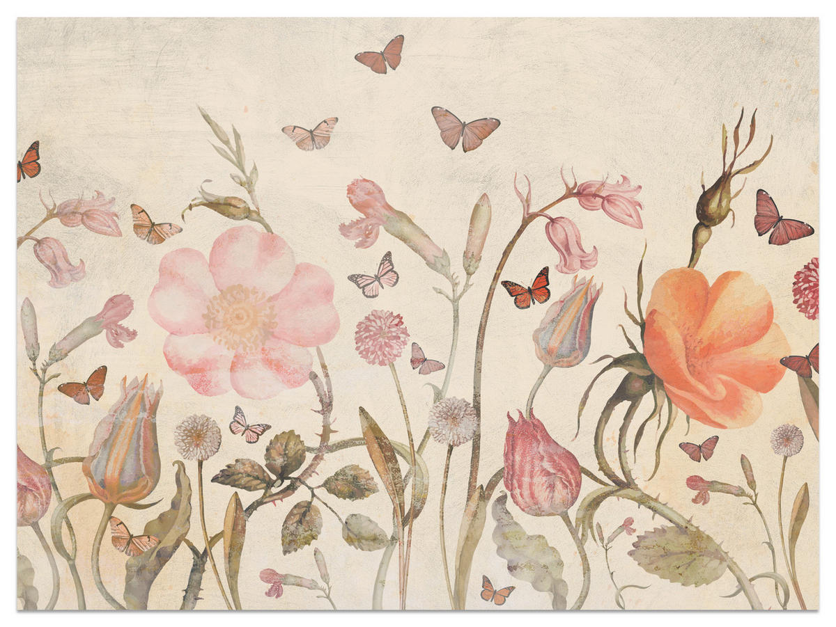 FOTOTAPETE für Kinderzimmer Wiesenblumen Aquarell Schmetterlinge Boho 500x350 - Beige/Rot, Papier (500/350cm) - Muralo