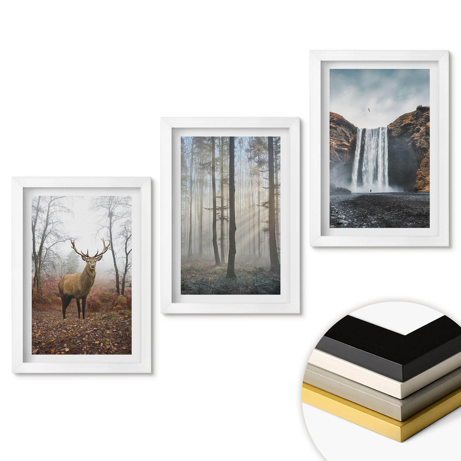 WANDBILDER 3er-Set - 20x30 cm Weißer Rahmen - Waldlandschaften, wilde Natur - Weiß, Kunststoff (20/30cm) - ArtPrintCave
