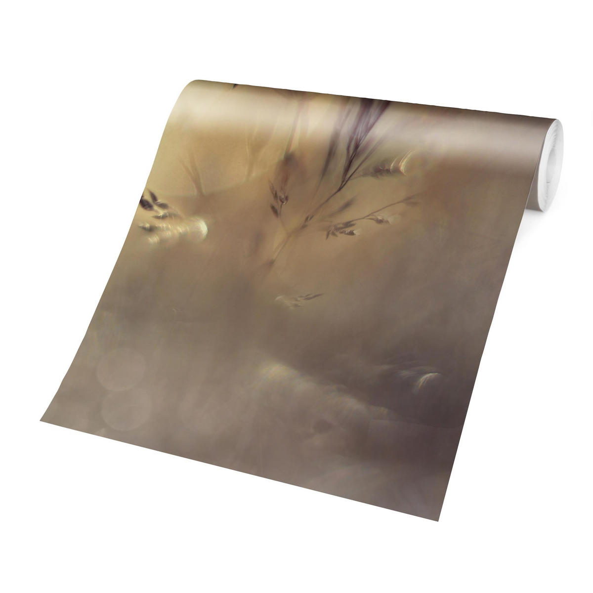 FOTOTAPETE Marienkäfer auf Wiesengras 240/240 cm - Eichefarben, Papier (240/240cm) - Bilderwelten