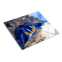 GLASPLATTE 60x52 cm Tropische Fische - Multicolor, Glas (60/52cm) - TULUP