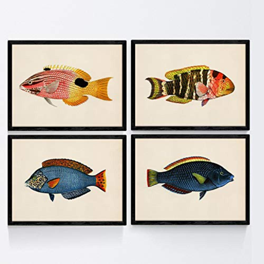 POSTER Set mit 4 FischWeinleseEffekt Blauer, gelber Ton A3 Schwarzer Rahmen - Schwarz, Papier (29.7/3cm) - Nacnic