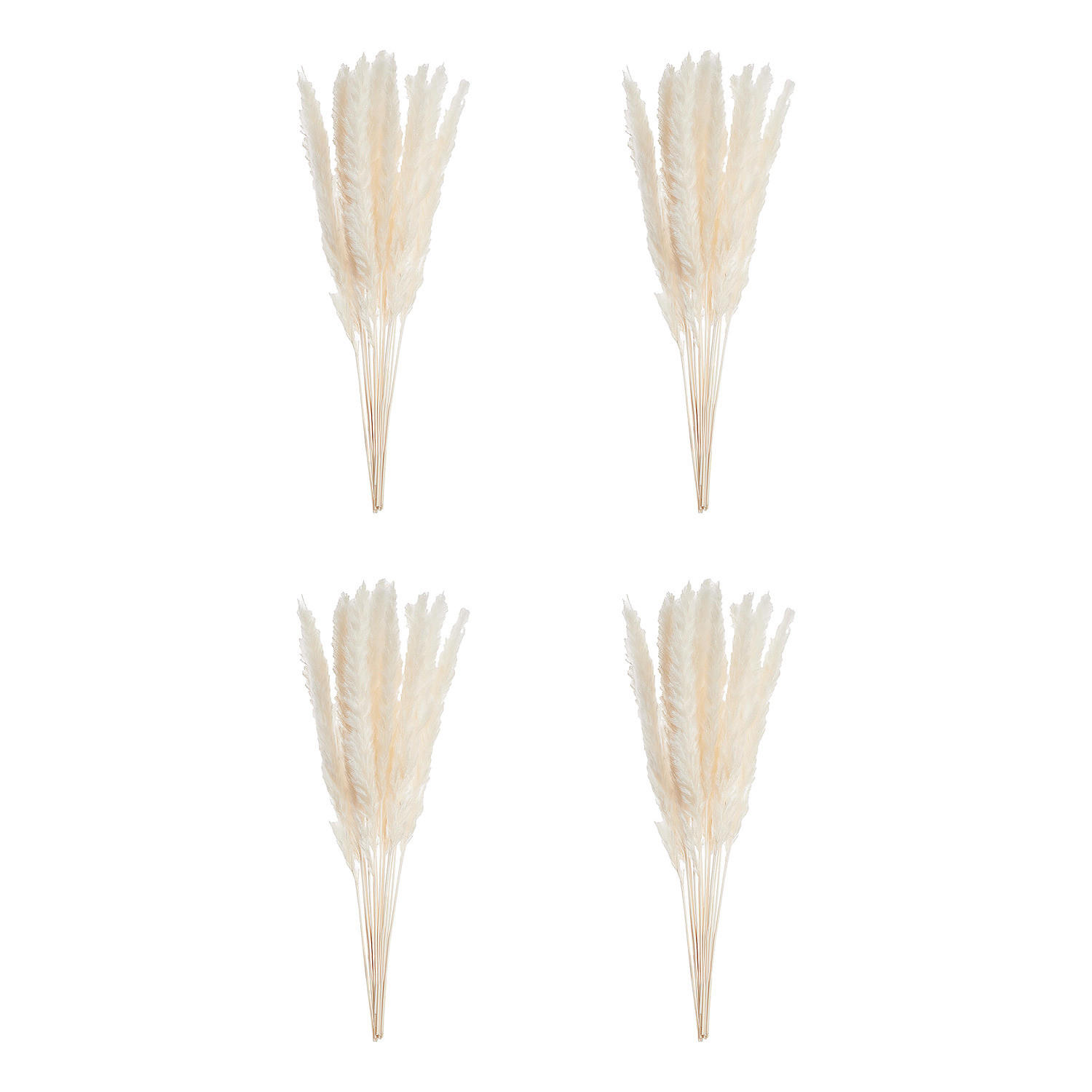 MINI-PAMPASGRAS (6er Set) Flower Market - Beige, Naturmaterialien (50cm) - BUTLERS