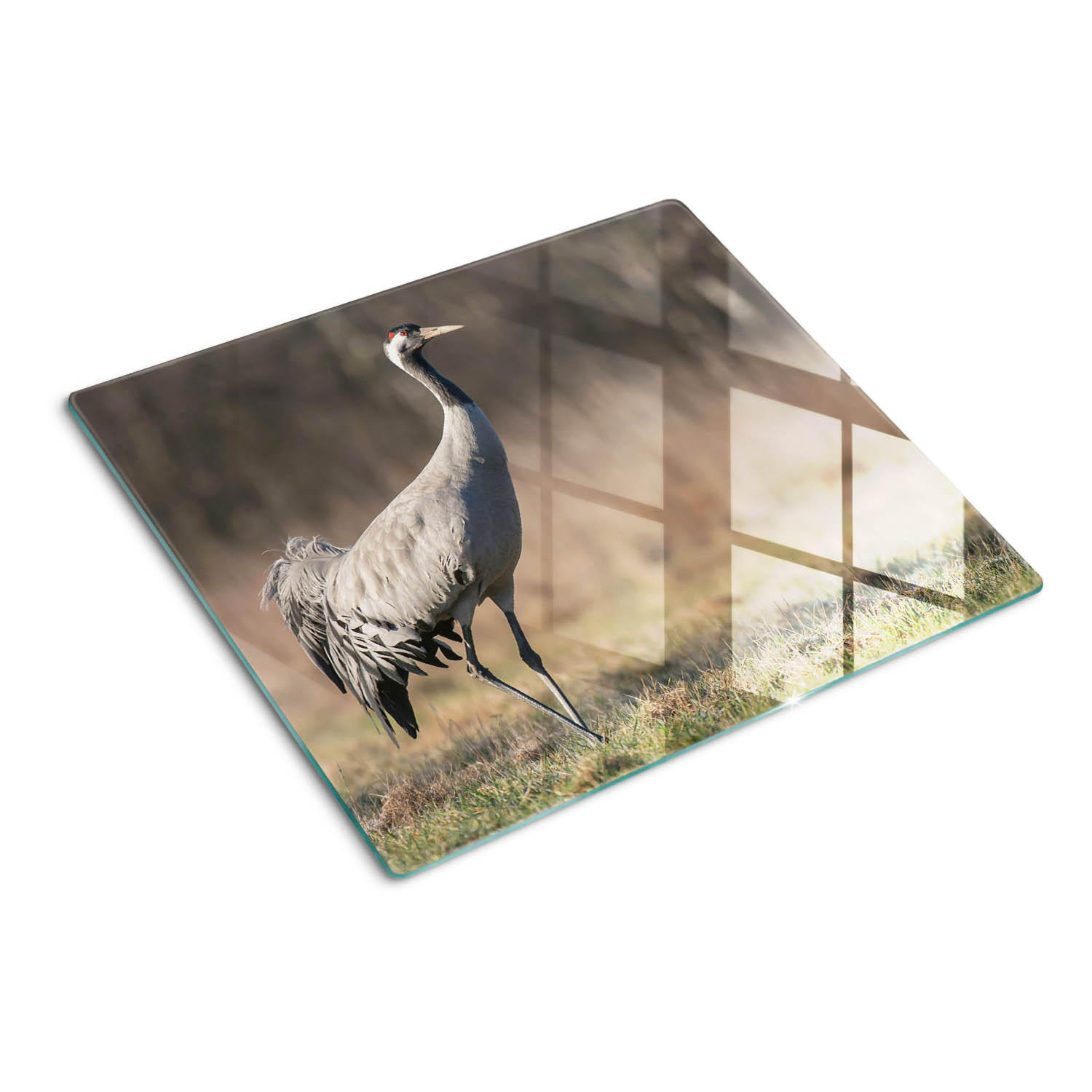GLASPLATTE 60x52 cm Reiher - Beige, Glas (60/0.4/52cm) - TULUP