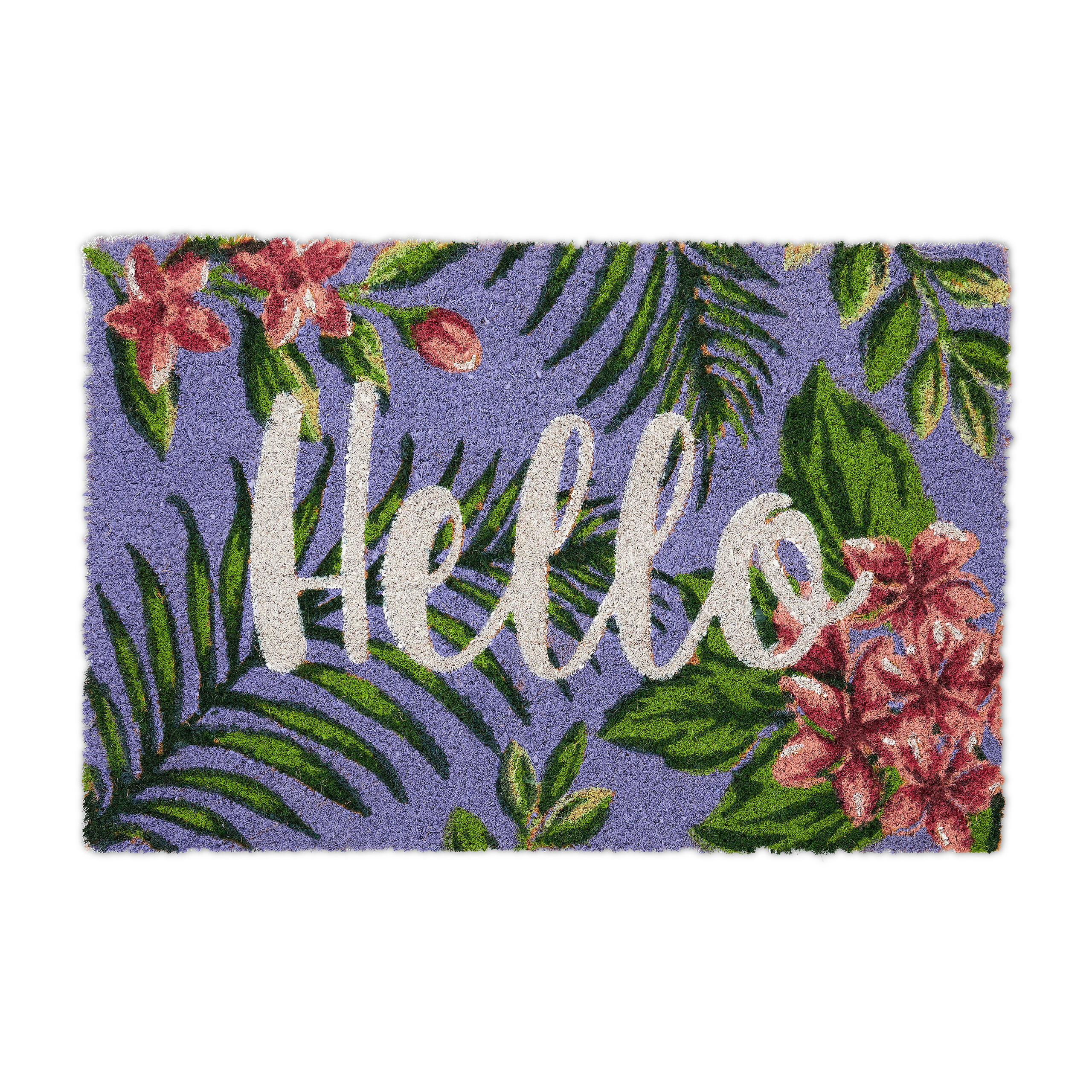 FUSSMATTE - Multicolor, Kunststoff/Textil (60/40cm) - Relaxdays