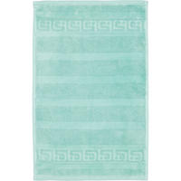 GÄSTETUCH NOBLESSE UNI 1001 AGAVEGRÜN - 474 - Grün, Textil (30/50cm) - Cawoe