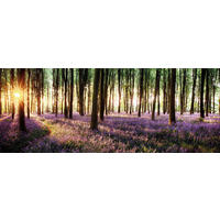 GLASBILD 80x30 cm Wald Lila Grün - Beige, Glas (80/30cm) - artissimo