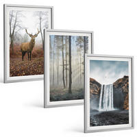 BILDER SET 3er Set - 40x60 cm Silberner Rahmen - Waldlandschaften, wilde Natur - Silberfarben, Kunststoff (40/60cm) - TULUP