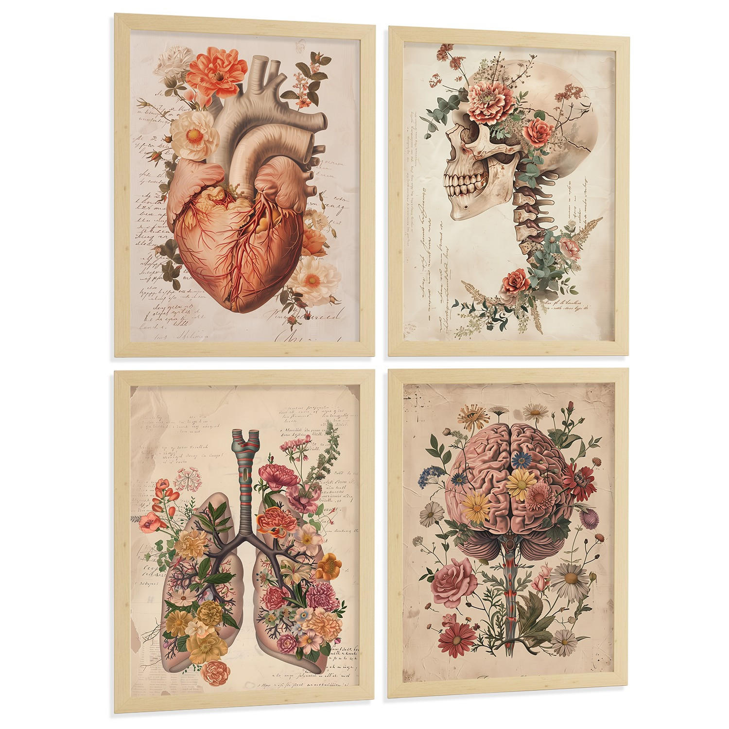 POSTER Set aus 4 Vintage Anatomie Drucke und Wandbilder mit Blumen Herz Lungen Schädel und Gehirn Medizinische Wanddekoration Größe Rahmenlos A3 - Klar, Papier (29.7/42/3cm) - Nacnic