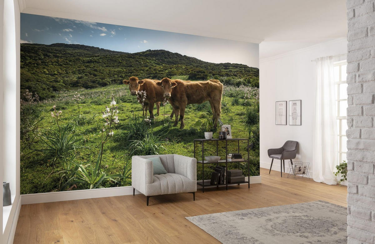 FOTOTAPETE Landschaft mit Kühen 450 x 280 cm - Grün, Papier (450/280cm) - Sanders & Sanders