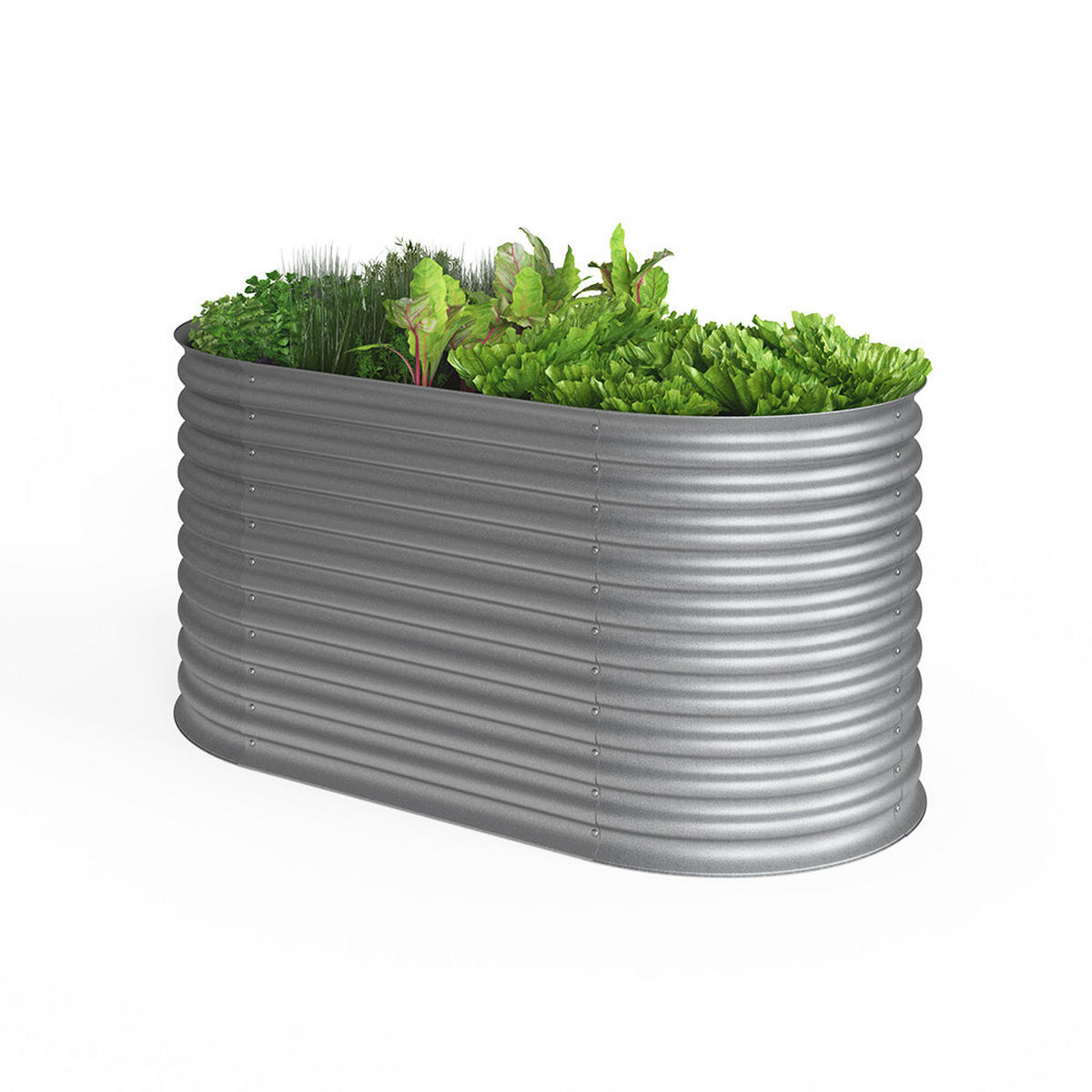 HOCHBEET Silber 160 x 82 cm - Silberfarben, Metall (160/80/82cm) - OK-Living