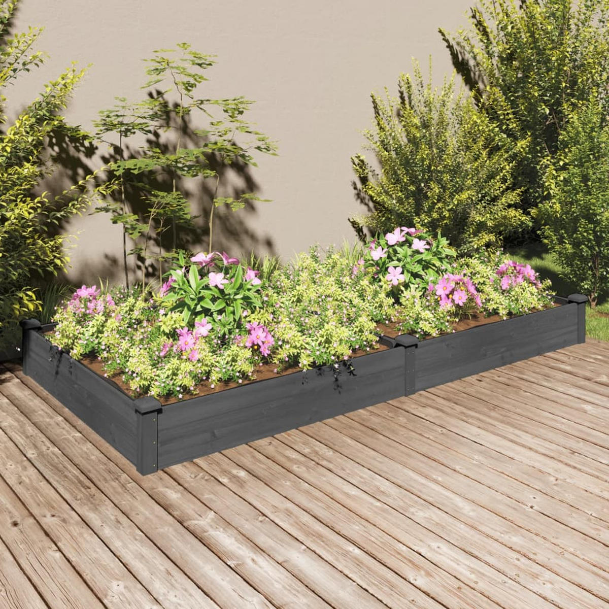 HOCHBEET mit Einsatz Grau 240x120x25 cm Massivholz Tanne - Grau, Holz (240/25/120cm)