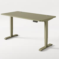 SCHREIBTISCH Elektrisch Höhenverstellbarer HomePro 160x80cm Grün/Grün mit Memory-Funktion, Anti-Kollisions Technologie - Grün, Holzwerkstoff (80/160/62cm) - Desktronic