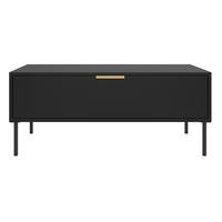 KONFERENČNÝ STOLÍK VENA čierny 100/50 cm - čierna, kov/kompozitné drevo (50/100/44cm) - Selsey