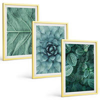 BILDER SET 3er Set - 40x60 cm Goldrahmen - Nahaufnahme von Pflanzenblättern - Goldfarben, Kunststoff (40/60cm) - TULUP