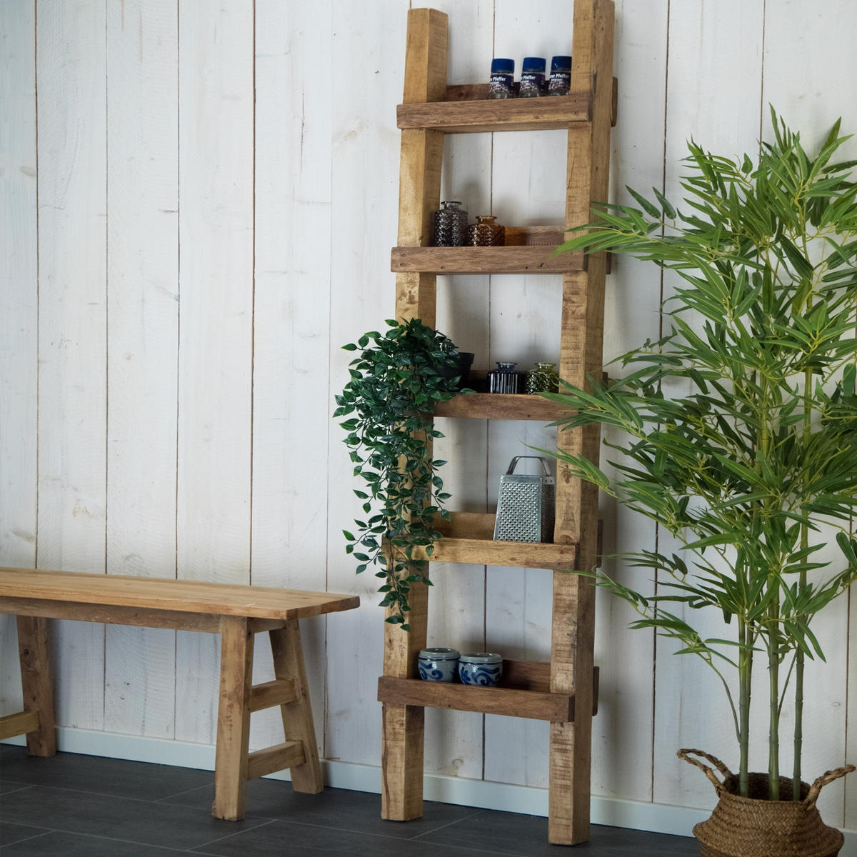 LEITERREGAL Step 170 Massivholz, 5 Ebenen, zum Anlehnen an die Wand naturfarben - Naturfarben, Holz (38/170cm) - DESIGN DELIGHTS