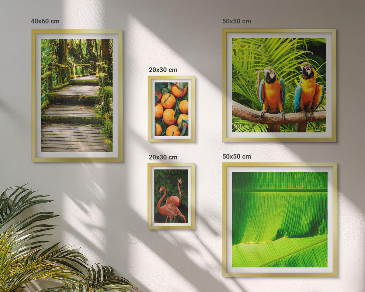 WANDBILDER 5er Set - 50x50 cm & 20x30 cm & 40x60 cm Goldrahmen - Fruchtige Akzente der Tropen - Goldfarben, Kunststoff (40/60cm) - ArtPrintCave