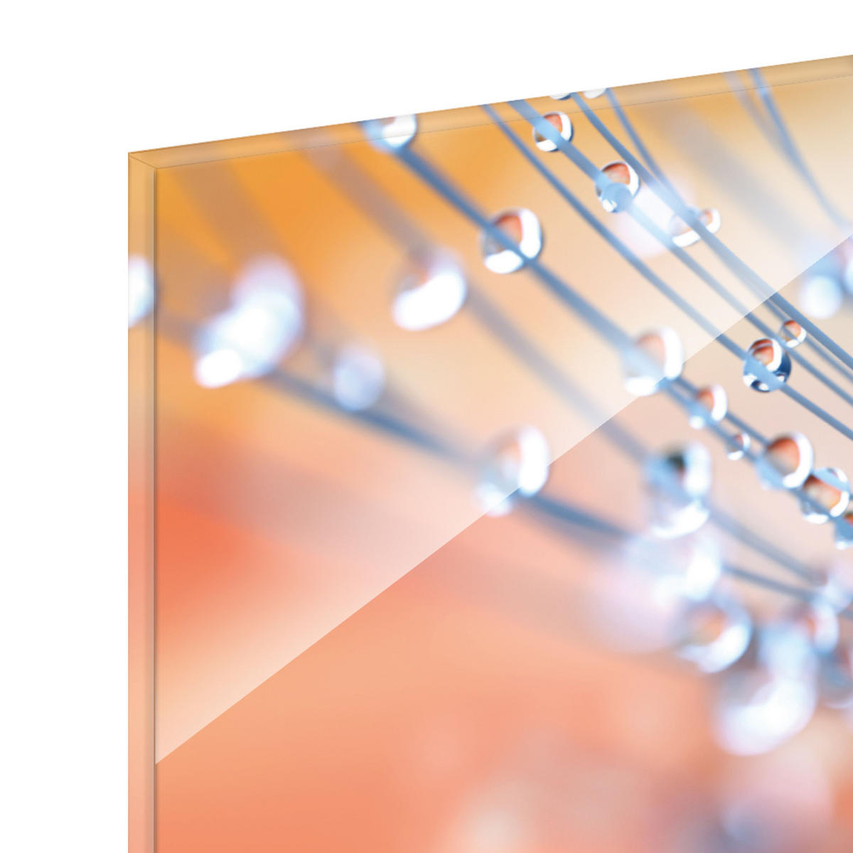 BILDER-SET aus Glas je 50x50 cm Pusteblume orange - Silberfarben, Glas (150/50cm) - artissimo