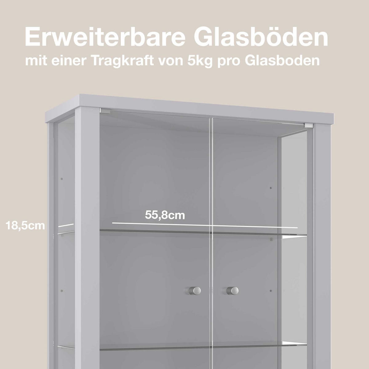 HÄNGEVITRINE 25/60/80 cm mit 2 höhenverstellbaren Glasböden - Transparent/Silberfarben, Glas/Holzwerkstoff (60/80/25cm) - K-Möbel