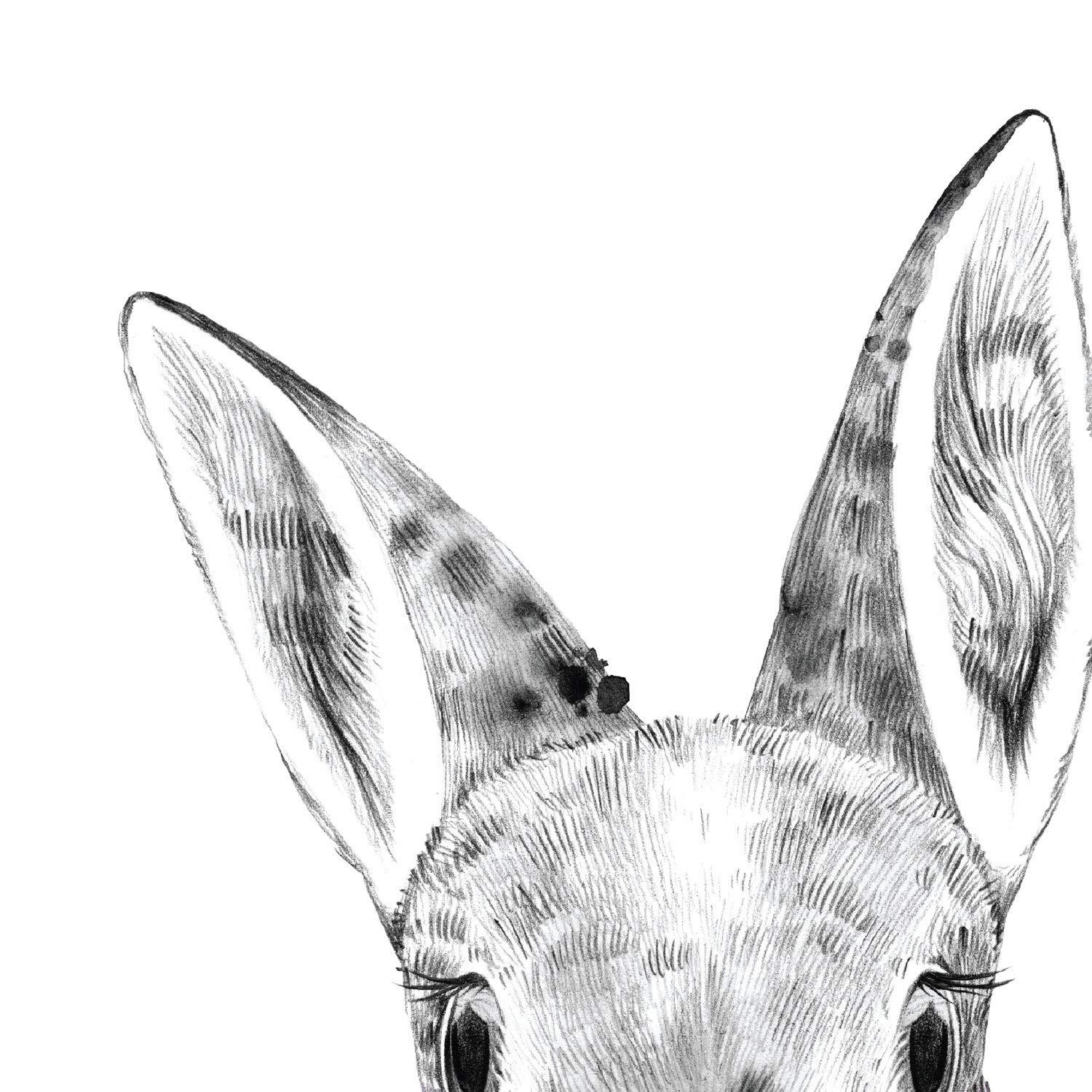 POSTER Set Mit 6 Tiere Babys Mit Kaugummi Kaninchenkuh Fuchs Pferd - Klar, Papier (29/3cm) - Nacnic