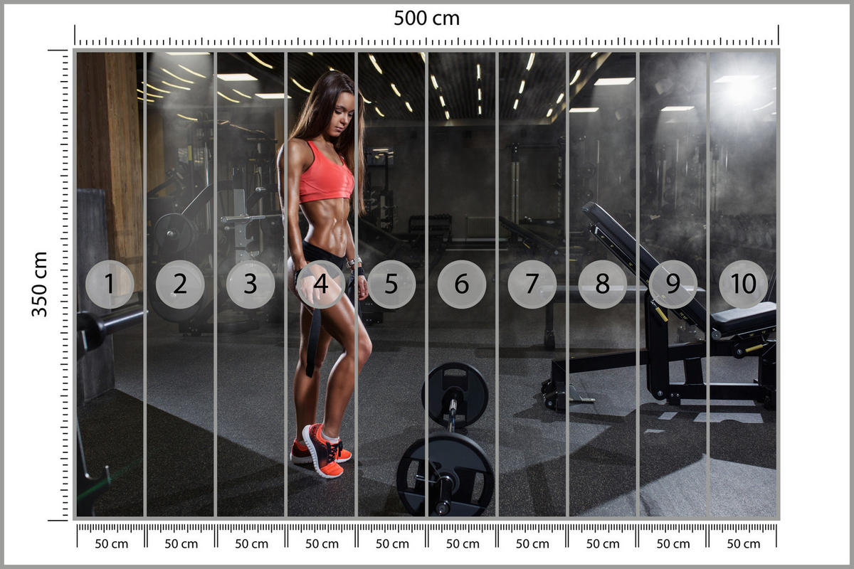 FOTOTAPETA Fit Žena Gym Činka Sila Posilňovňa 500 x 350 cm - hnedá/čierna, papier (500/350cm) - Muralo