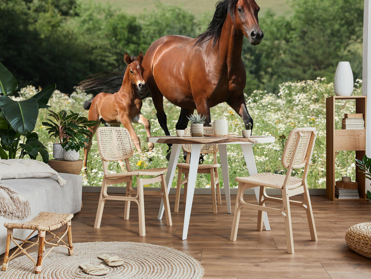 FOTOTAPETE Pferde Lichtung Pflanzen Natur 200x140 - Beige/Schwarz, Papier (200/140cm) - Muralo