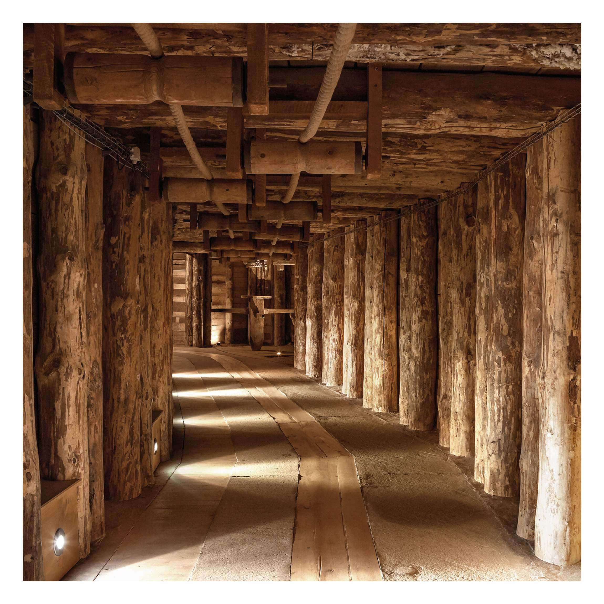 Bilderwelten Fototapete Braun 288x288 cm