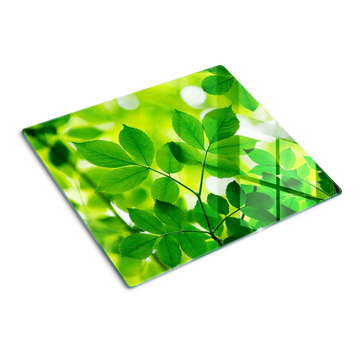 GLASPLATTE 60x52 cm Grüne Blätter - Grün, Glas (60/0.4/52cm) - TULUP