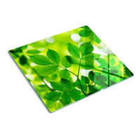 GLASPLATTE 60x52 cm Grüne Blätter - Grün, Glas (60/0.4/52cm) - TULUP