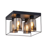 LED-DECKENLEUCHTE Falkengrimm 30.0/20.0/30.0 cm - Schwarz, Glas (30/30/20cm) - ZMH