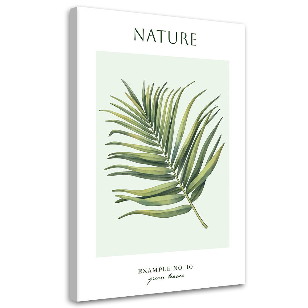 WANDBILD grüne blätter natur - Grün, Textil (40/60cm) - Feeby