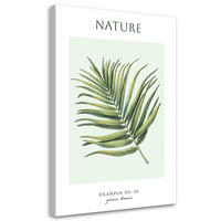 WANDBILD grüne blätter natur - Grün, Textil (40/60cm) - Feeby