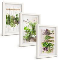 BILDER SET 3er Set - 20x30 cm Weißer Rahmen - Kräuterpflanzen für die Küche - Weiß, Kunststoff (20/30cm) - TULUP