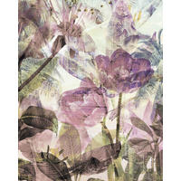 FOTOTAPETE Blumen 200 x 250 cm - Lila, Papier (200/250cm) - Sanders & Sanders