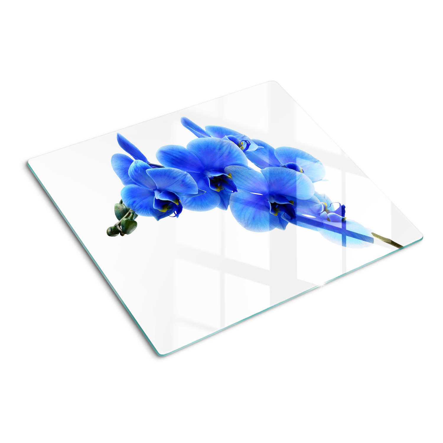 GLASPLATTE 60x52 cm Blaue Orchidee - Blau, Glas (60/0.4/52cm) - TULUP