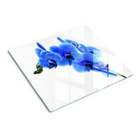 GLASPLATTE 60x52 cm Blaue Orchidee - Blau, Glas (60/0.4/52cm) - TULUP