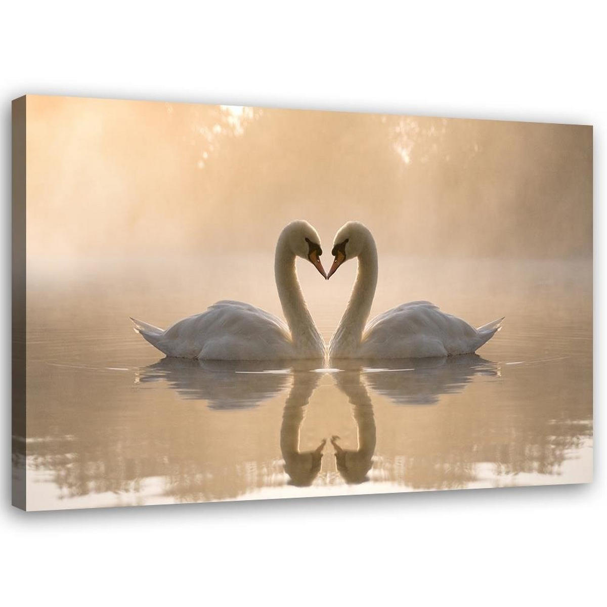 LEINWANDBILD Schwäne auf einem Teich 100x70cm - Beige, Textil (100/70cm) - Feeby