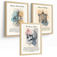 POSTER Set aus 3 Anatomie Mensch Lernposter Drucke und Wandbilder mit Muskeln Rücken Brustkorb Schädel Medizinische Wanddekoration Größe Rahmenlos A3 - Klar, Papier (29.7/42/3cm) - Nacnic