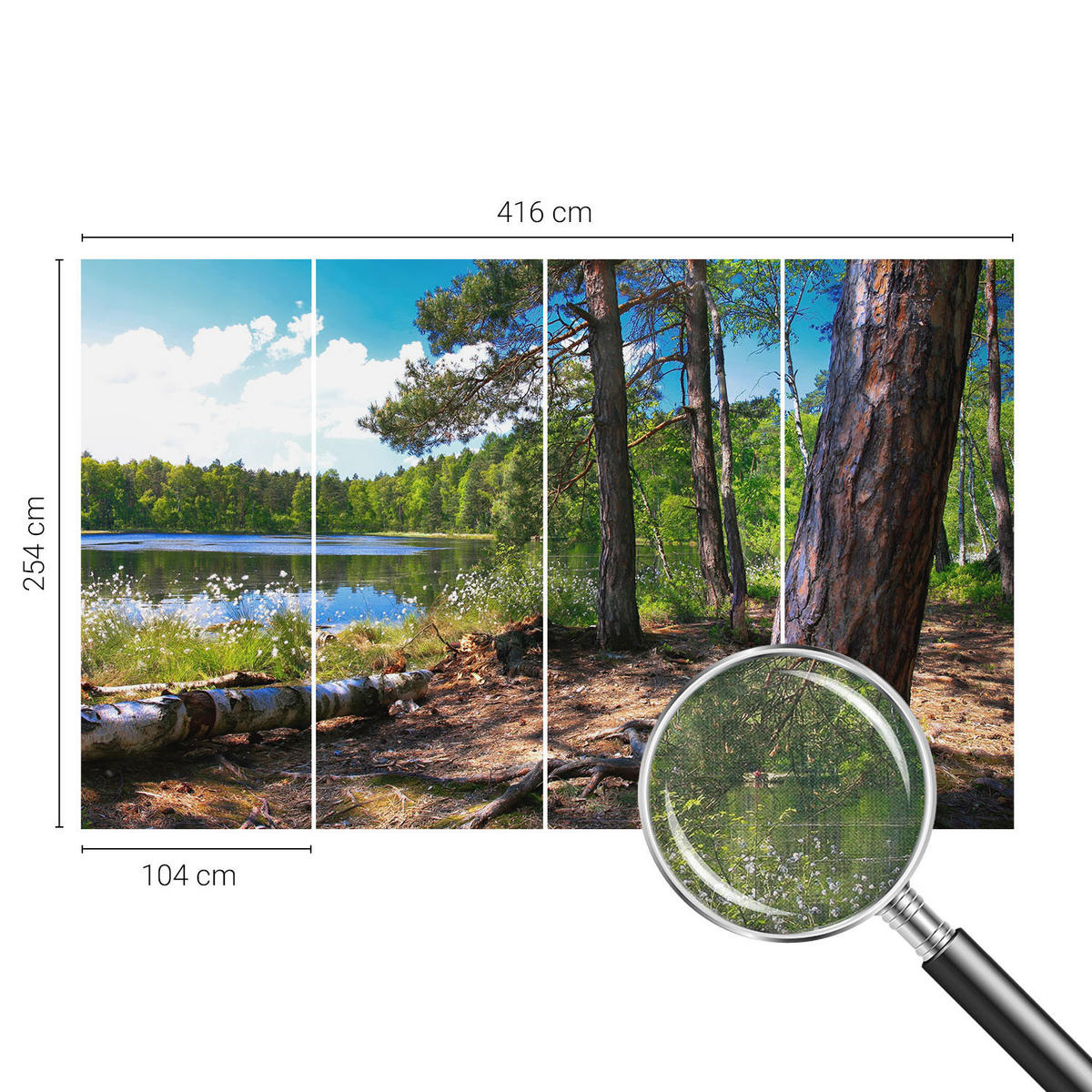 FOTOTAPETE 416x254 cm - Waldlandschaft - Grün, Textil (416/254cm) - Wallfluent
