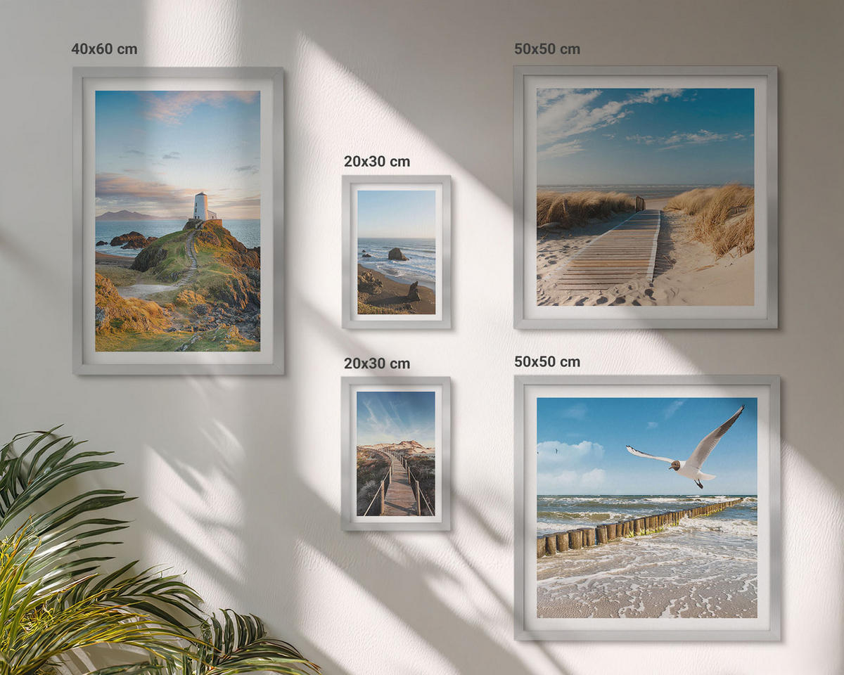 WANDBILDER 5er Set - 50x50 cm & 20x30 cm & 40x60 cm Silberner Rahmen - Palmen am Meer, blaues Wasser - Silberfarben, Kunststoff (40/60cm) - ArtPrintCave