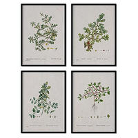 POSTER Set mit 4 von Blättern aus dem Künstler PierreJoseph Redouté A3 Schwarzer Rahmen - Schwarz, Papier (29.7/3cm) - Nacnic