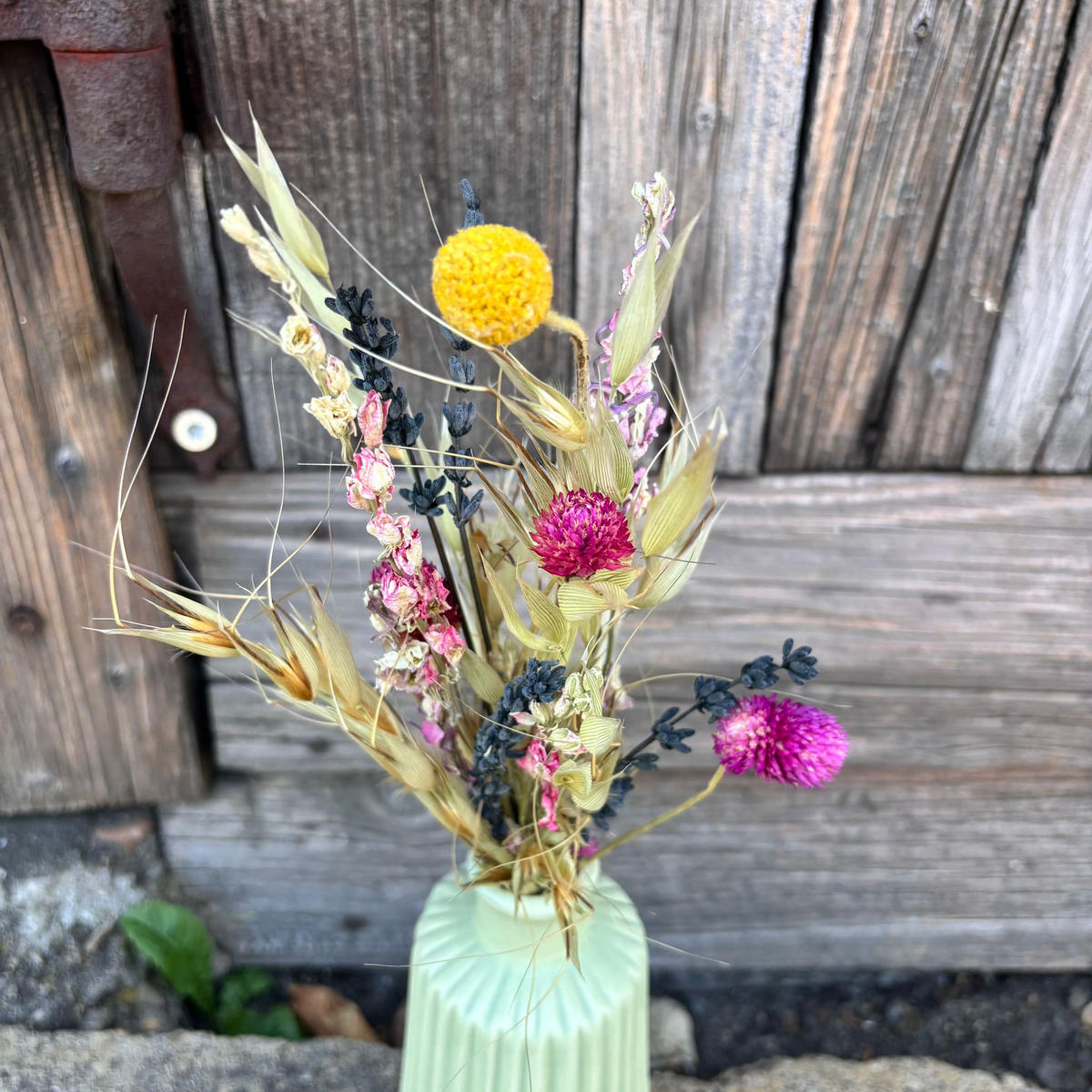 WIESENGLÜCK Mini - Natürlicher Trockenblumenstrauß in beige-rosa - Beige, Naturmaterialien (30cm) - Lykke & You