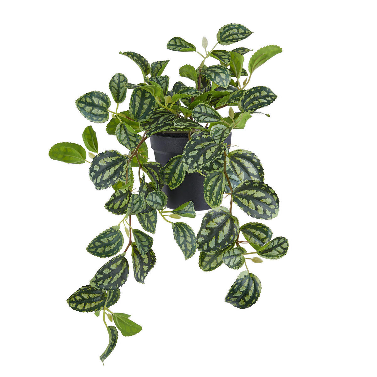 KUNSTBLUME Florista Plea Cadariiere - Grün, Kunststoff (44cm) - Butlers