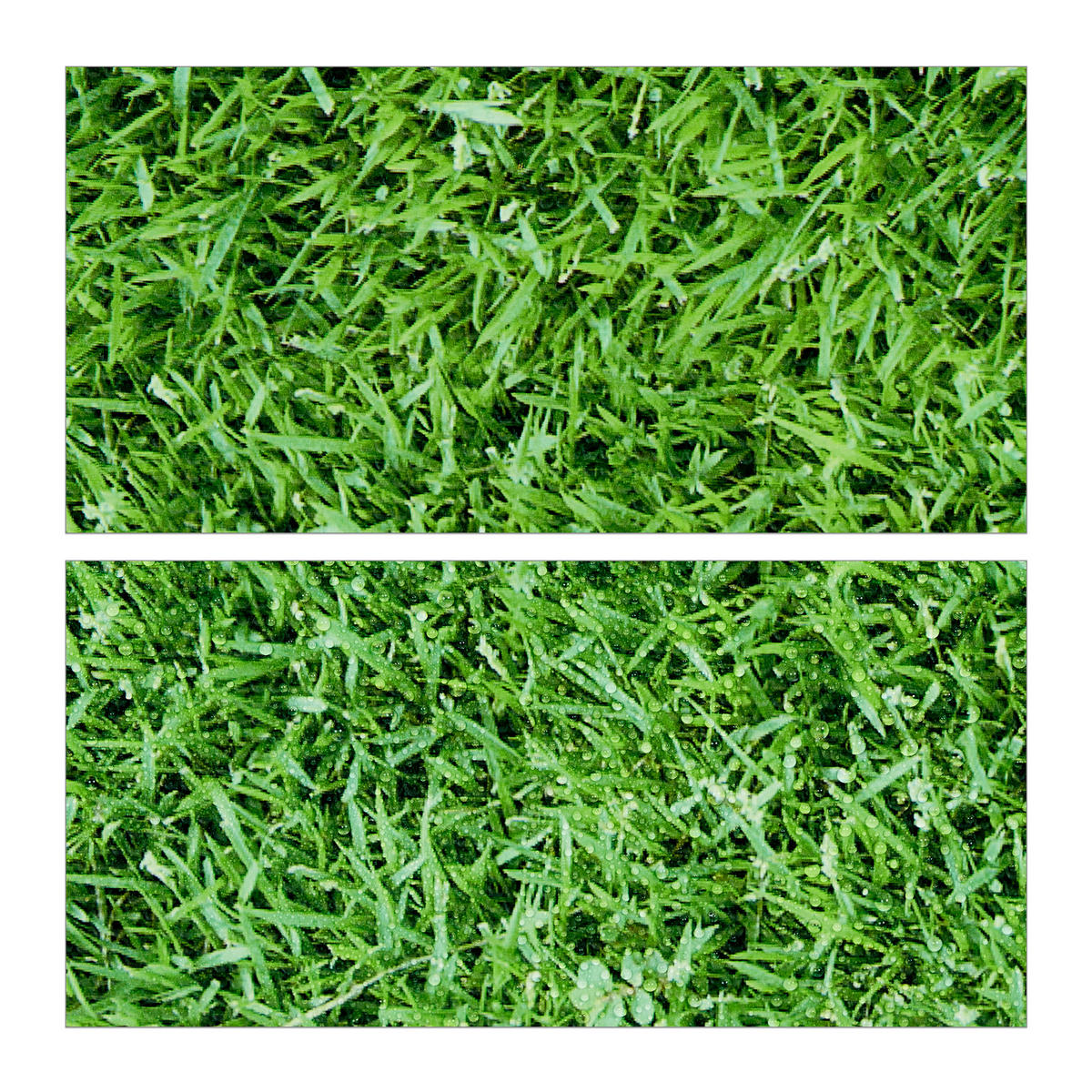 8XPODLOŽKA na podlahu - zelená, plast (61/61cm) - Relaxdays